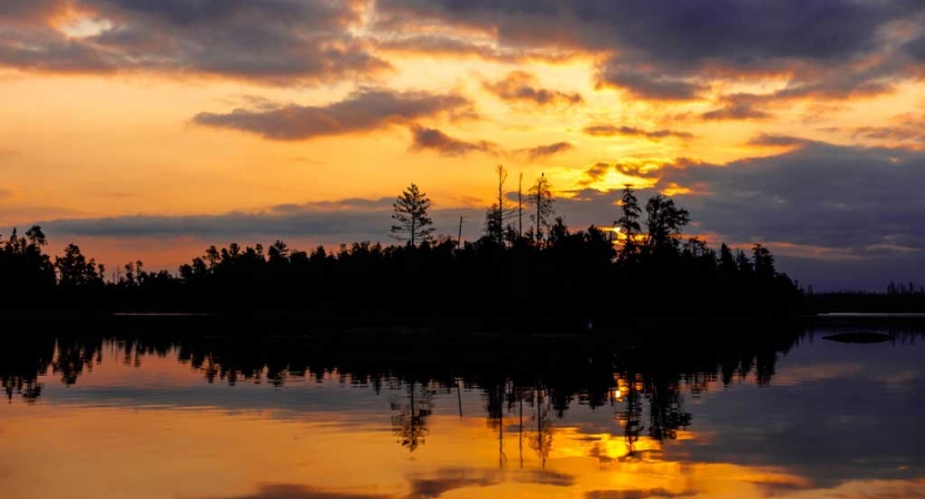 The orange and yellow light of a sunrise or sunset is reflected on a calm body of water. Between sky and water, there is a line of dark trees. 